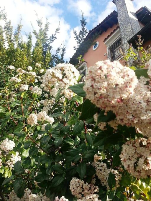 Villa Tethys Mountain Resort Zakas Luaran gambar