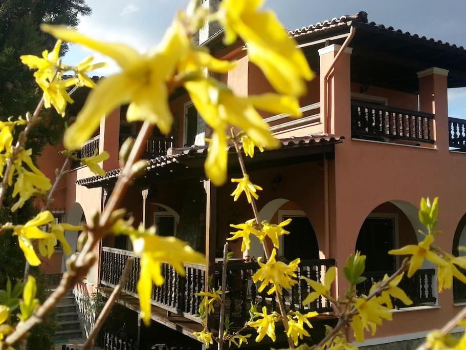Villa Tethys Mountain Resort Zakas Luaran gambar